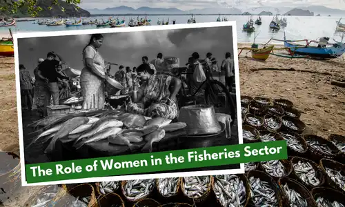 The Role of Women in the Fisheries Sector