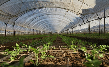 Modern Farmers and Modern Day Farming At the Top University in Bhopal