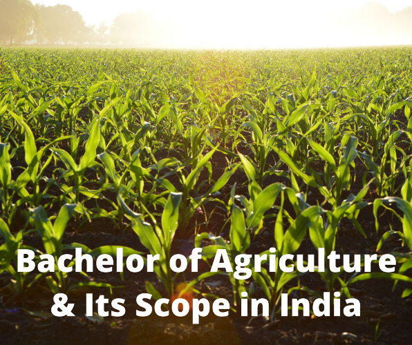 Bachelor of Agriculture & Its Scope in India