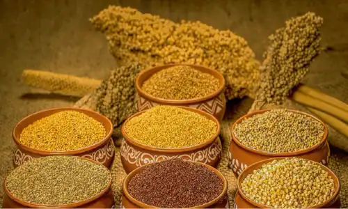The Benefits of Millets: A Nutritional Security Perspective