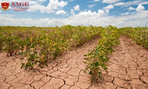 Climate Change vis-a-vis Agriculture