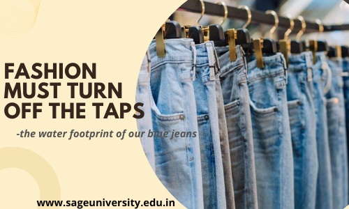 How Many Gallons of Water Does it Take to Make a Single Pair of Jeans? -  The Fashion Law