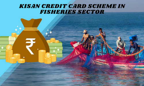 Kisan Credit Card Scheme in Fisheries Sector