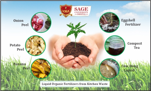 Liquid Organic Fertilizers from Kitchen Waste