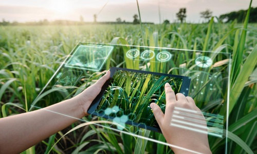 Artificial Intelligence in Agriculture: Trạm nghiên cứu về Nông nghiệp Trí tuệ nhân tạo là nơi thực hiện những cải tiến và ứng dụng công nghệ cao vào nông nghiệp. Hãy cùng xem ảnh về những dòng máy móc thông minh, giúp phát hiện các dấu hiệu bất thường, dự báo thời tiết, đo lường độ ẩm và nhiệt độ của lòng đất, để nâng cao năng suất và hiệu quả sản xuất nông nghiệp.