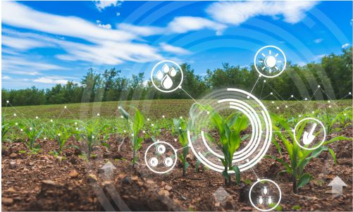 The Future of Agriculture Sciences is Sowed at Sage University