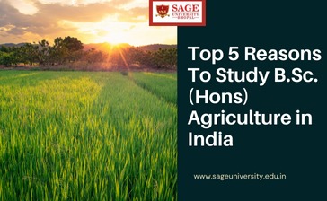 Top 5 Reasons to Study B.Sc. (Hons) Agriculture in India