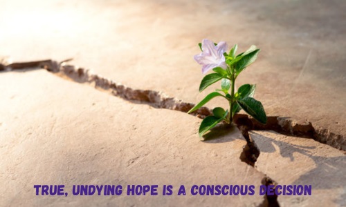 True, Undying Hope is a Conscious Decision