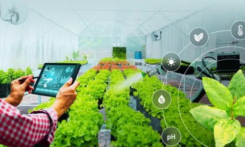 Use of Modern Technology in Agriculture Sector
