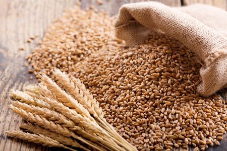 Wheat Export Ban – A Rational decision in the midst of worries