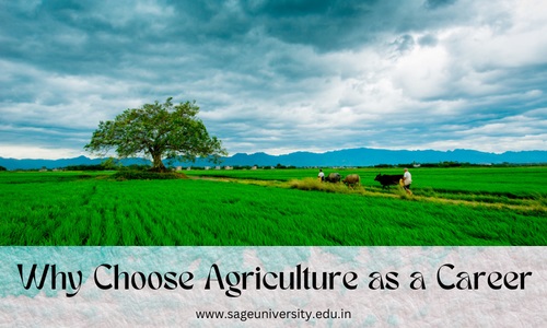 Why Choose Agriculture as a Career?